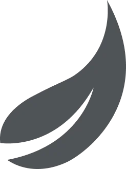 Vector